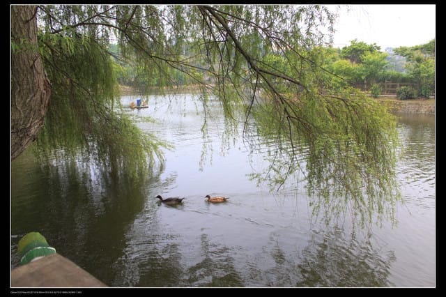 《遊記—桃園》龍潭大池鐵馬行