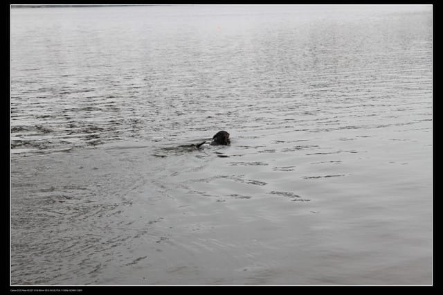《遊記—桃園》龍潭大池鐵馬行