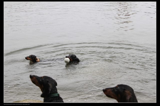 《遊記—桃園》龍潭大池鐵馬行