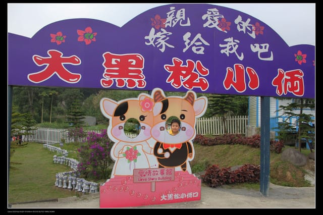 《遊記—桃園》大溪大黑松小倆口～愛情故事館