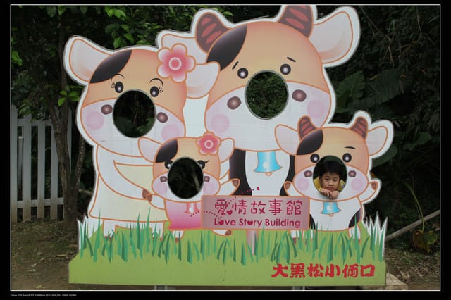 《遊記—桃園》大溪大黑松小倆口～愛情故事館