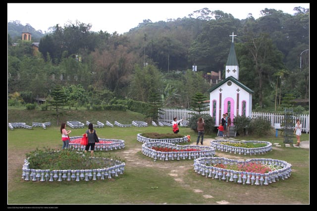 《遊記—桃園》大溪大黑松小倆口～愛情故事館