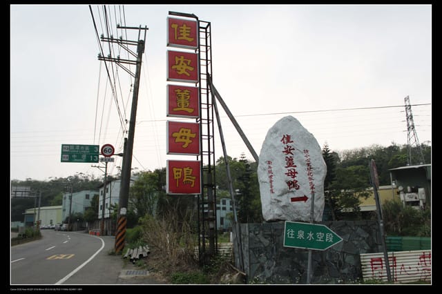 《食記—桃園》龍潭佳安薑母鴨