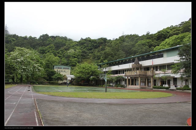 《遊記—石碇》2010桐花初探～永定國小