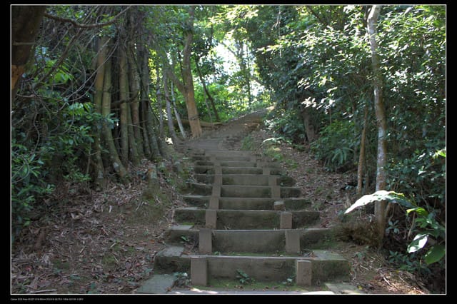 《遊記—新竹》獅頭山遊客服務中心賞桐花