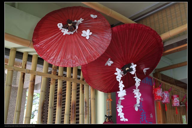 《遊記—新竹》獅頭山遊客服務中心賞桐花