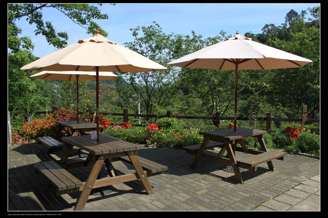 《遊記—新竹》獅頭山遊客服務中心賞桐花