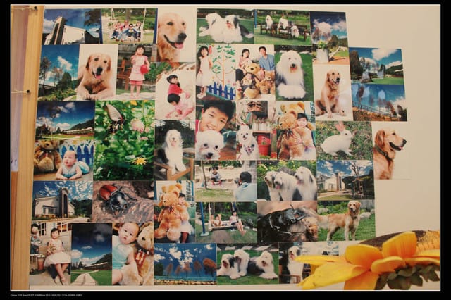 《食記—新竹》關西青境花墅咖啡、美食