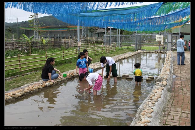 《遊記—龍潭》老貝殼休閒農場