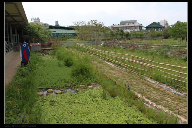 《遊記—龍潭》老貝殼休閒農場