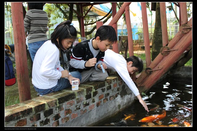 《遊記—龍潭》老貝殼休閒農場