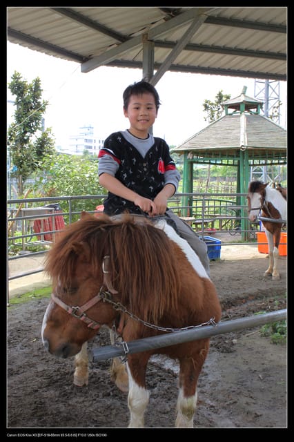 《遊記—龍潭》老貝殼休閒農場