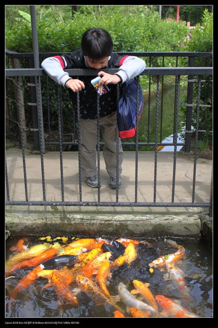 《遊記—龍潭》老貝殼休閒農場