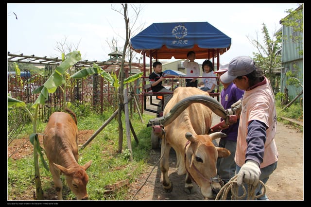 《遊記—龍潭》老貝殼休閒農場