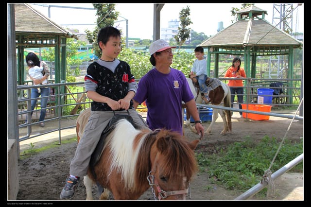 《遊記—龍潭》老貝殼休閒農場