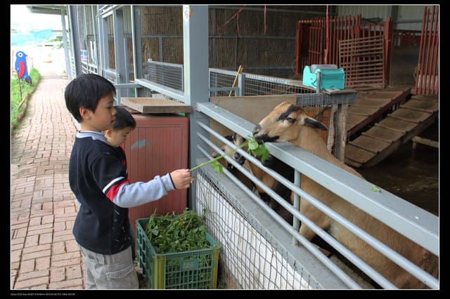 《遊記—龍潭》老貝殼休閒農場