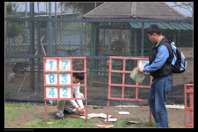 《遊記—龍潭》老貝殼休閒農場