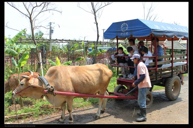 《遊記—龍潭》老貝殼休閒農場