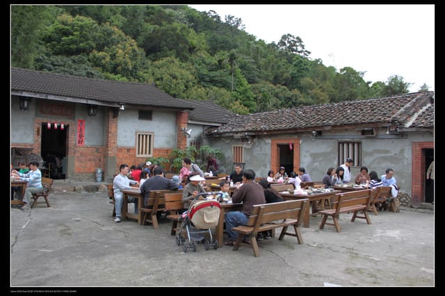 《食記—龍潭》老頭擺客家菜～剛剛吃的土雞在屋頂上？！