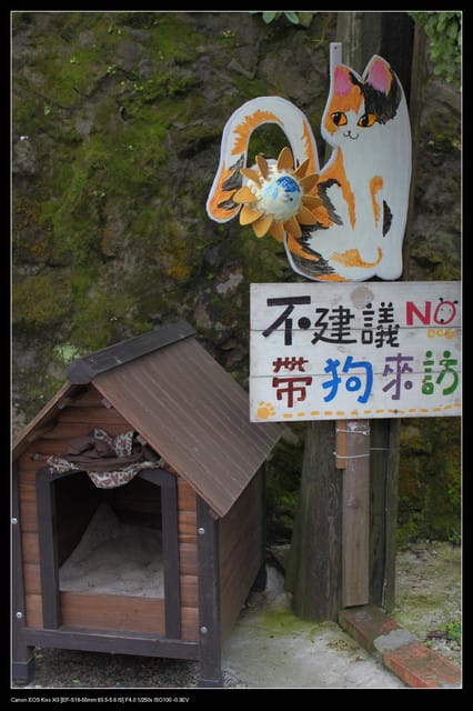 《遊記—基隆》探訪侯硐貓村