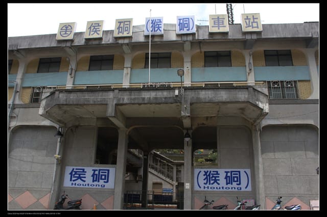 《遊記—基隆》探訪侯硐貓村