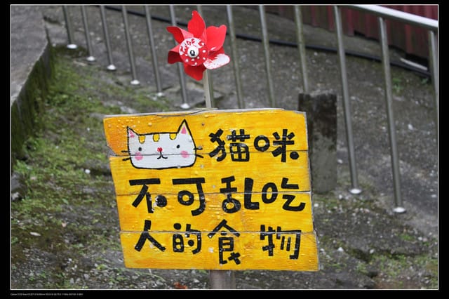 《遊記—基隆》探訪侯硐貓村