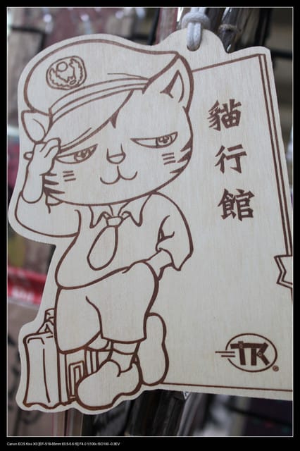 《遊記—基隆》探訪侯硐貓村