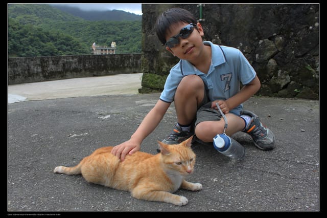 《遊記—基隆》探訪侯硐貓村