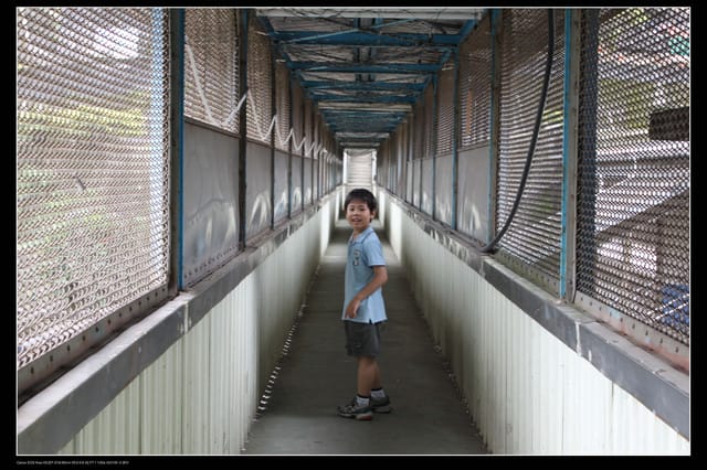 《遊記—基隆》探訪侯硐貓村