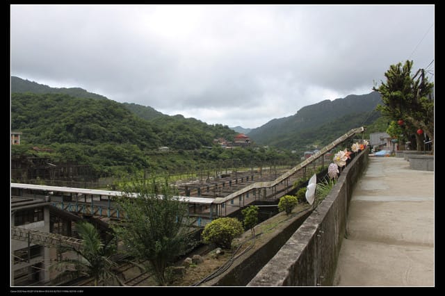 《遊記—基隆》探訪侯硐貓村