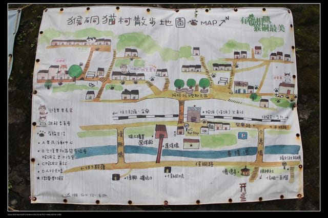 《遊記—基隆》探訪侯硐貓村