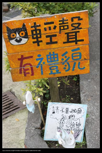 《遊記—基隆》探訪侯硐貓村