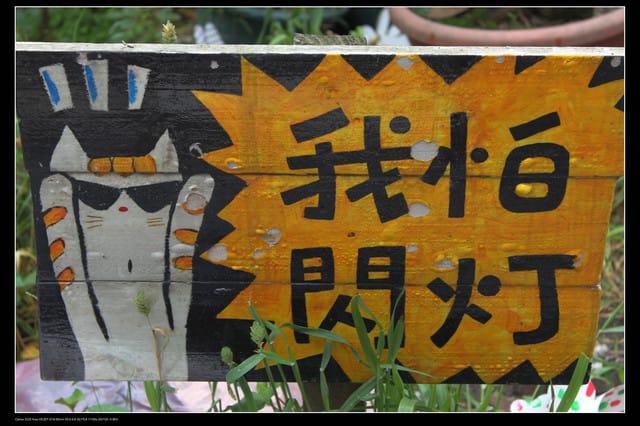 《遊記—基隆》探訪侯硐貓村