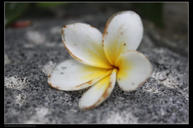 《遊記—澎湖》菊島行DAY-1【沙灘城堡Villa】