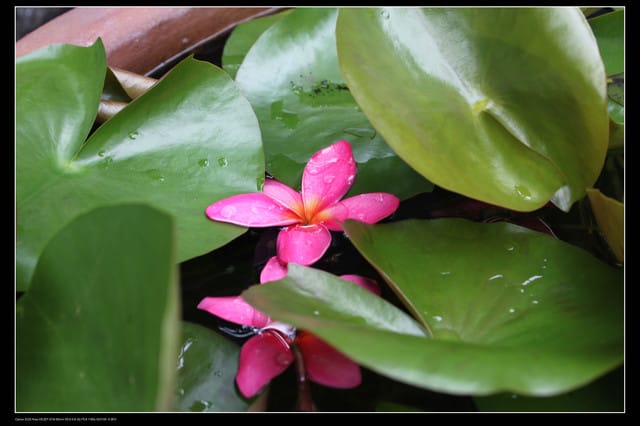 《遊記—澎湖》菊島行DAY-1【沙灘城堡Villa】