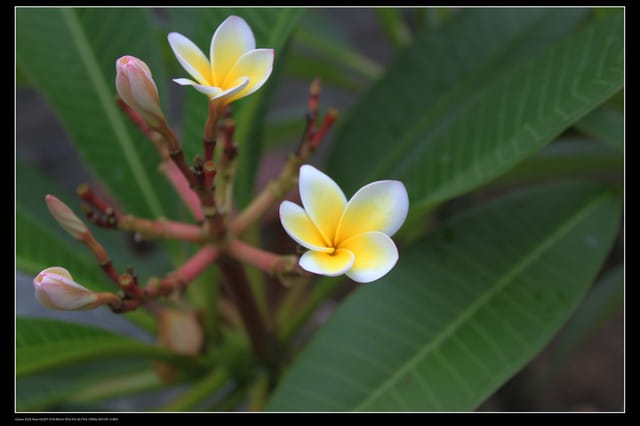 《遊記—澎湖》菊島行DAY-1【沙灘城堡Villa】