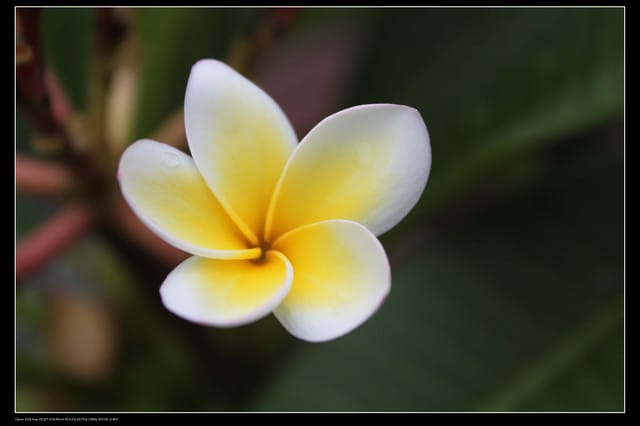 《遊記—澎湖》菊島行DAY-1【沙灘城堡Villa】