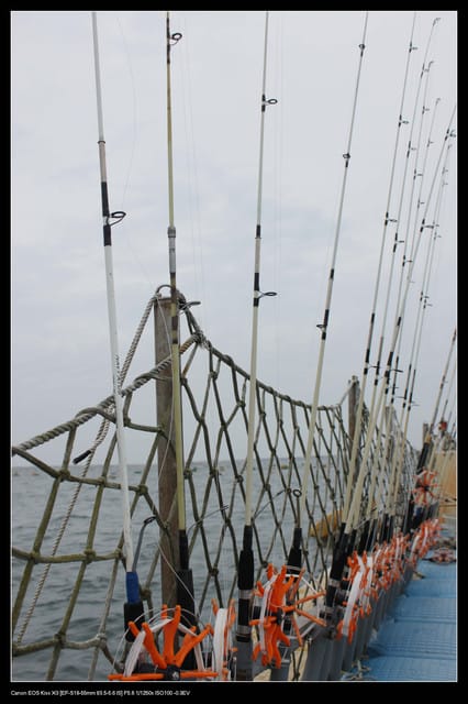 《遊記—澎湖》菊島行DAY-1【菜園海洋牧場】