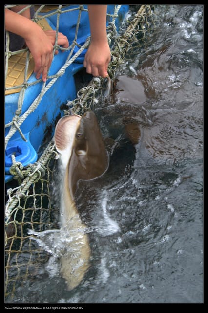 《遊記—澎湖》菊島行DAY-1【菜園海洋牧場】