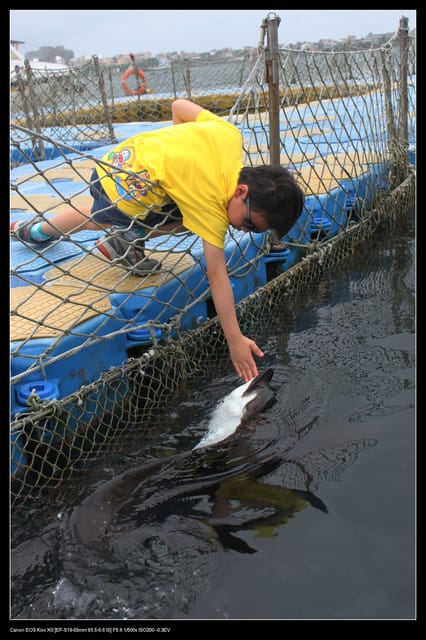《遊記—澎湖》菊島行DAY-1【菜園海洋牧場】