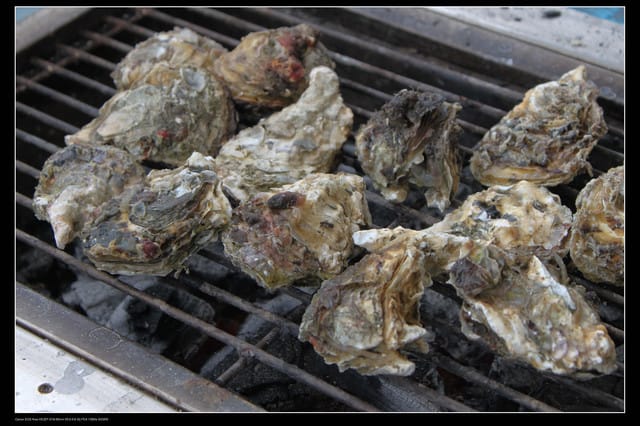 《遊記—澎湖》菊島行DAY-1【菜園海洋牧場】