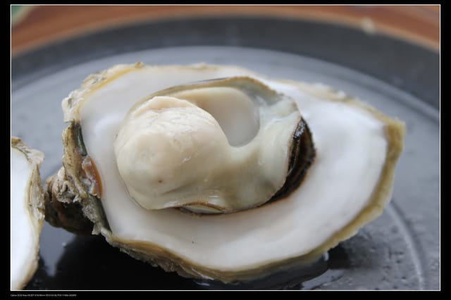 《遊記—澎湖》菊島行DAY-1【菜園海洋牧場】