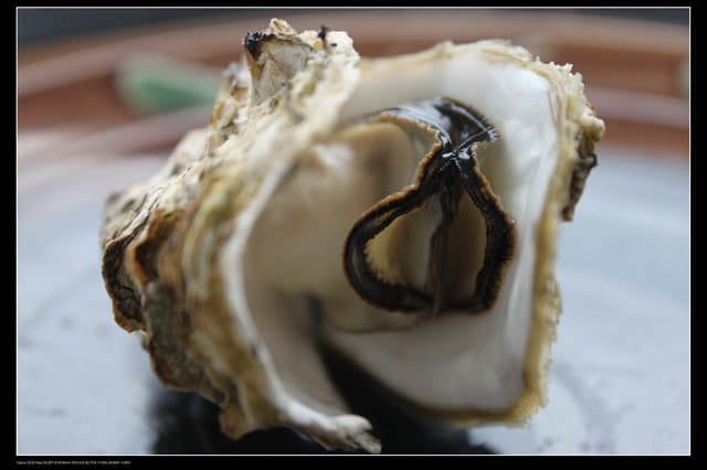 《遊記—澎湖》菊島行DAY-1【菜園海洋牧場】