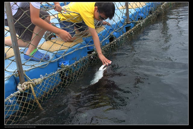 《遊記—澎湖》菊島行DAY-1【菜園海洋牧場】