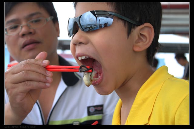 《遊記—澎湖》菊島行DAY-1【菜園海洋牧場】