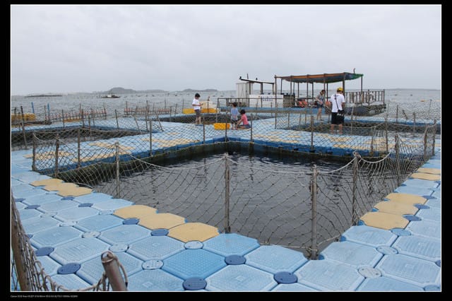 《遊記—澎湖》菊島行DAY-1【菜園海洋牧場】