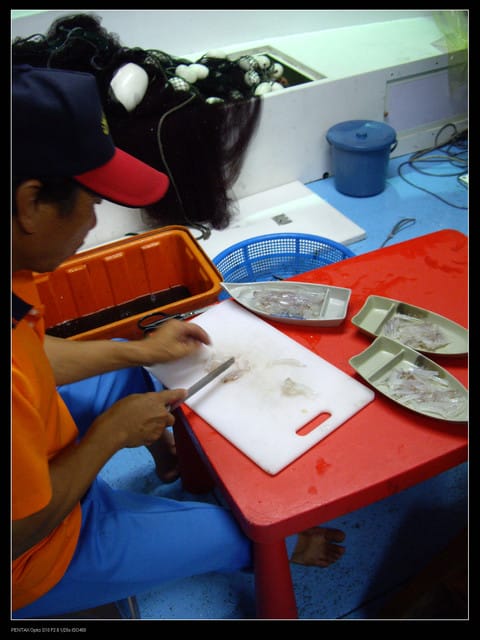 《遊記—澎湖》菊島行DAY-1【夜釣小管】 - 第20張圖 《遊記—澎湖》菊島行DAY-1【夜釣小管】