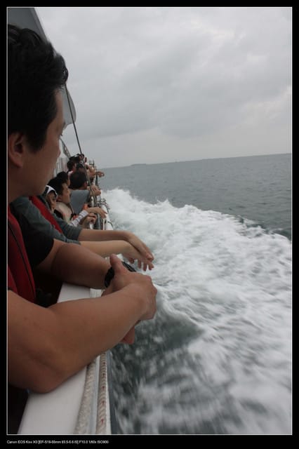 《遊記—澎湖》菊島行DAY-1【夜釣小管】 - 第4張圖 《遊記—澎湖》菊島行DAY-1【夜釣小管】