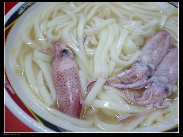 《遊記—澎湖》菊島行DAY-1【夜釣小管】 - 第25張圖 《遊記—澎湖》菊島行DAY-1【夜釣小管】