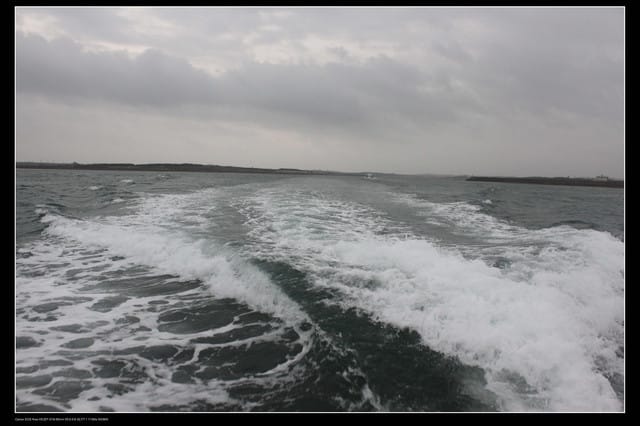 《遊記—澎湖》菊島行DAY-1【夜釣小管】 - 第5張圖 《遊記—澎湖》菊島行DAY-1【夜釣小管】